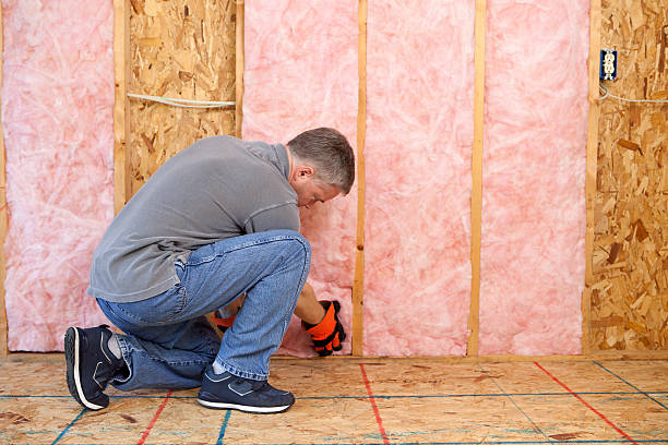 Best Spray Foam Insulation in Lakeside, VA